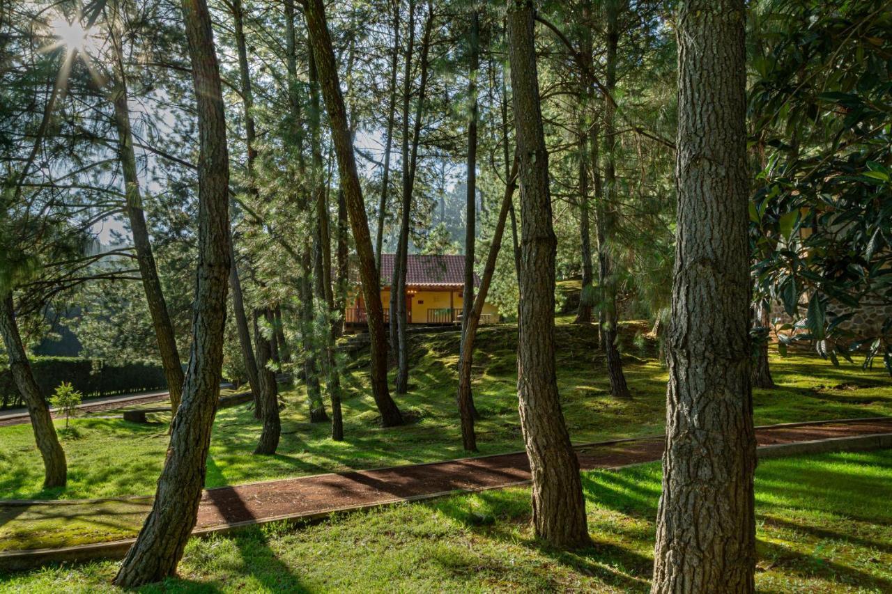 Bosque Escondido Hotel Mazamitla Bagian luar foto
