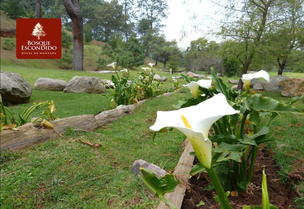 Bosque Escondido Hotel Mazamitla Bagian luar foto